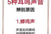电脑有声但拨片无反应是何原因？