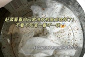 洗衣机常不清洗的危害及解决办法（守护洗衣机的清洁）