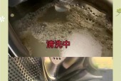 清晰洗衣机技巧（如何让你的洗衣机洗得更干净）