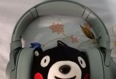 WH-H900N耳机性价比如何？使用体验有哪些亮点？