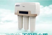 扬子净水器故障揭秘（探索扬子净水器故障原因与解决方法）