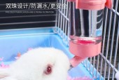 仓鼠饮水机的使用和维护指南（让你的仓鼠健康快乐）