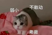 组团吃鸡拖后腿怎么办？如何配置电脑提升游戏体验？