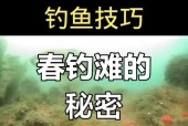 手机广角钓鱼摄像头使用方法是什么？