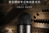专业麦克风有哪些类型？不同种类的麦克风特点是什么？