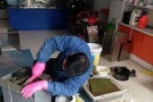 油烟机翻板的清洗方法（保持油烟机翻板清洁的关键）