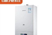 壁挂炉故障处理方法大全（解决壁挂炉常见故障的技巧和方法）