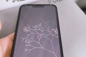 如何快速去除手机膜上的气泡（掌握技巧）
