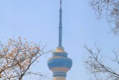 哪些城市建有电视塔？