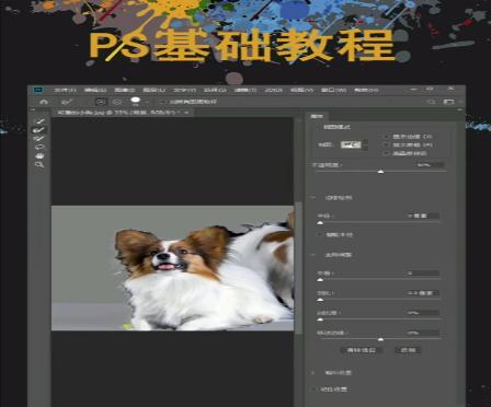 掌握PS抠图技巧，轻松实现去背景（用一抠在手）  第1张