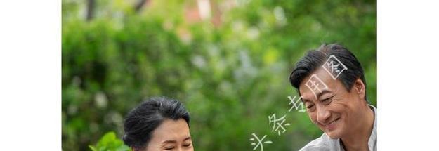 定时燃气灶的利与弊（方便生活）  第3张