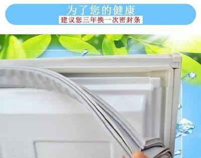 如何清洗发霉的冰箱密封条（使用这些小妙招让冰箱密封条重现清爽新颖）  第1张