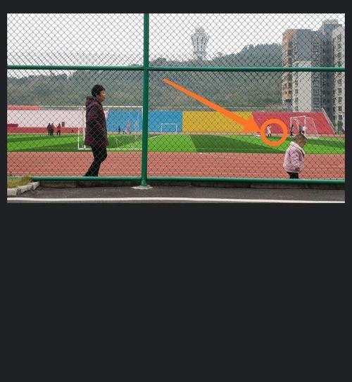 围网拍照照片保存到手机的步骤是什么？  第3张