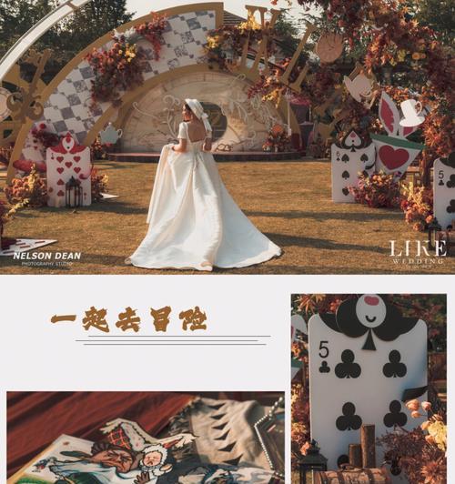 兔子先生照相机手机拍照操作指南？  第1张
