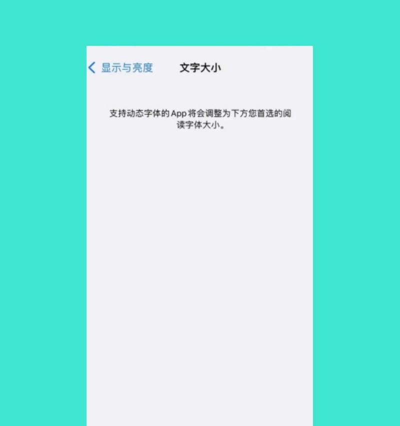 如何调整苹果手机的字体大小？  第2张