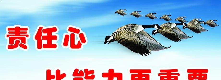 路由器自营口号是什么？口号背后的意义是什么？  第3张