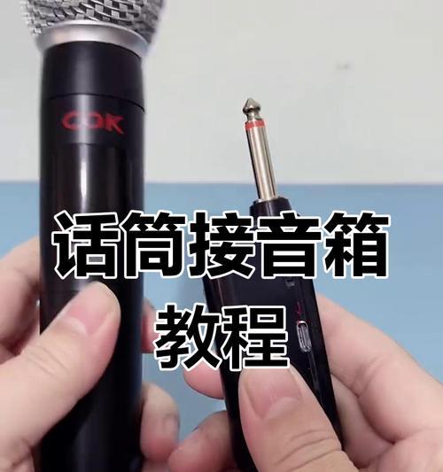 sony话筒连接音箱的步骤是什么？  第3张