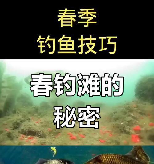 手机广角钓鱼摄像头使用方法是什么？  第1张