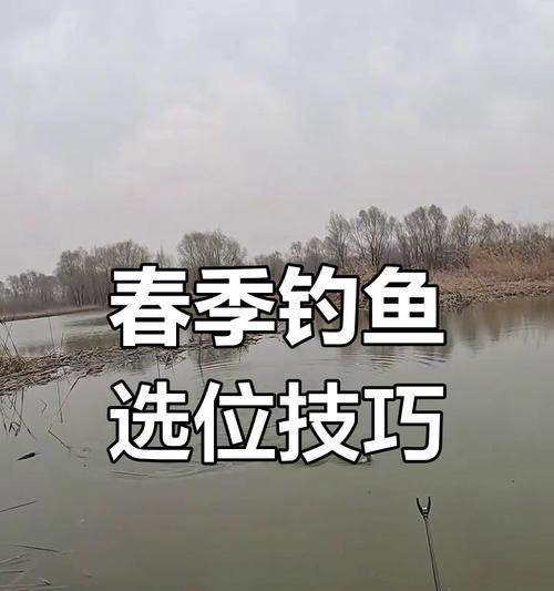 手机广角钓鱼摄像头使用方法是什么？  第2张