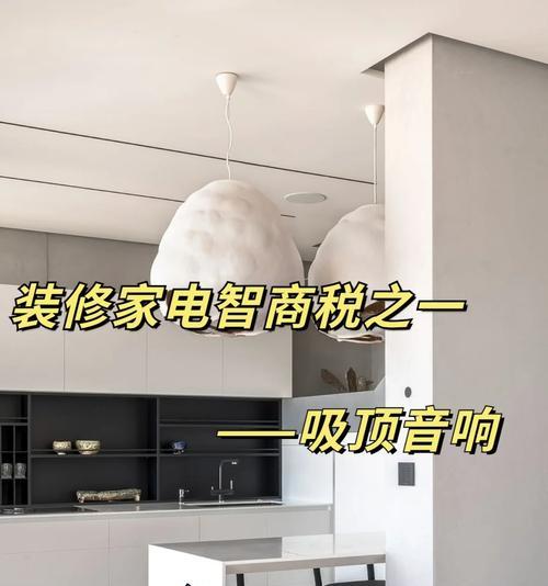 佩斯吸顶音响的使用体验如何？  第3张