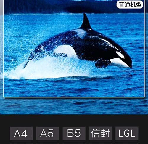 佳能3680颜色校正的方法有哪些？校正颜色后效果如何？  第1张