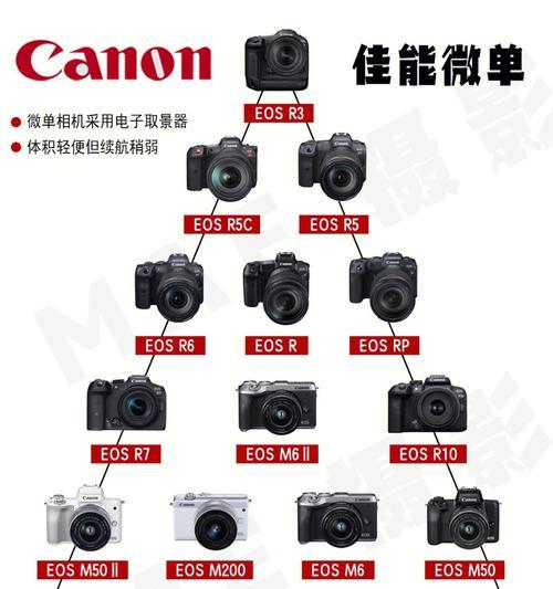 佳能相机看比赛怎么看？有哪些设置技巧？  第1张