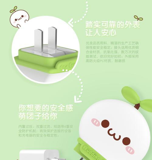 充电器双电插头怎么接？接线步骤是什么？  第1张