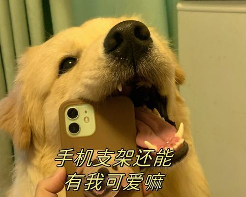 墙纸手机支架使用方法是什么？  第2张