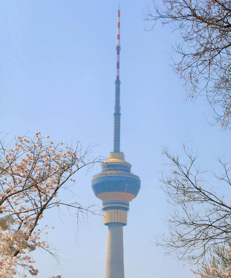 哪些城市建有电视塔？  第1张