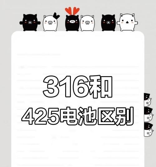 316电池浮漂为何容易不亮？如何解决？  第1张