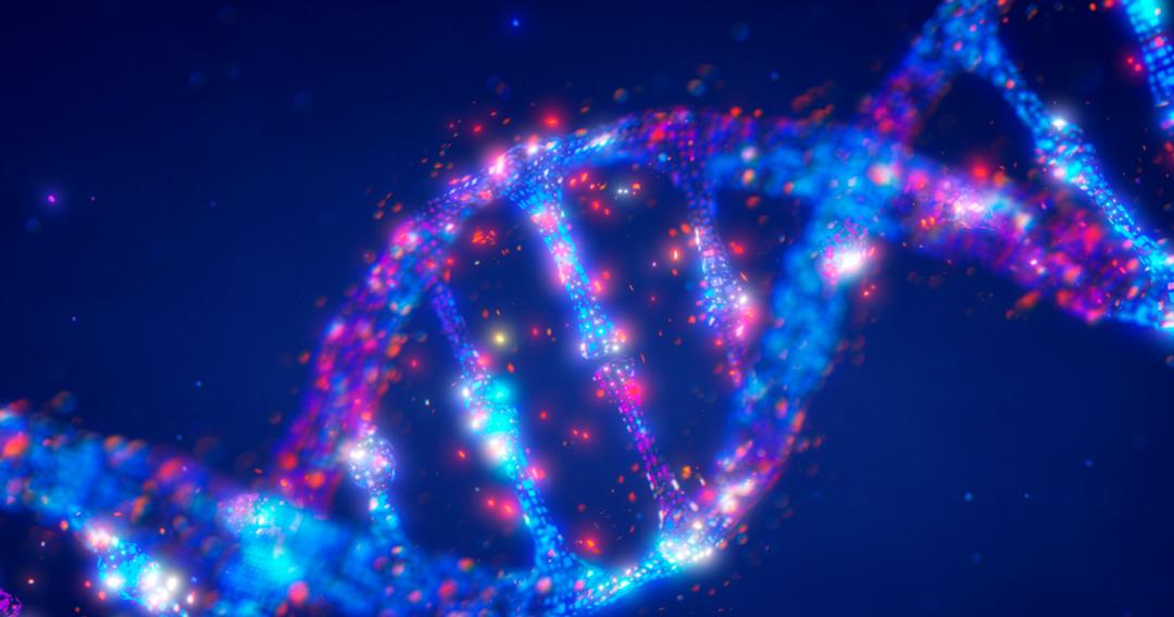 谷歌DeepMind发布DNA序列模型AlphaGenome，可分析1兆碱基，直击疾病根源  第1张